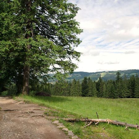 Domek Sekret Zakopane Eksteriør bilde
