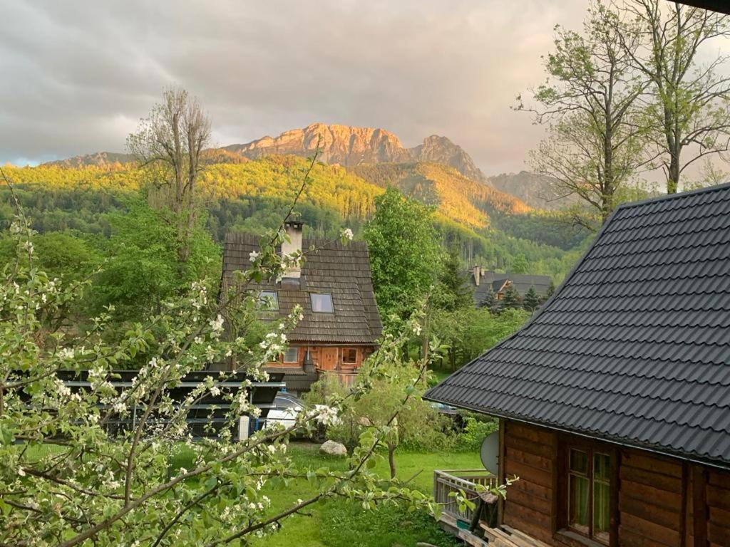 Domek Sekret Zakopane Eksteriør bilde